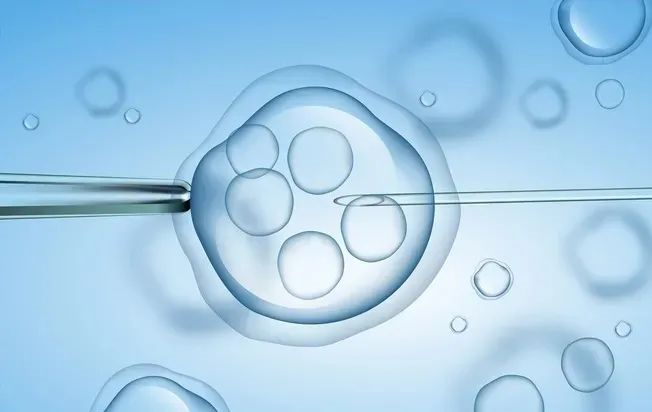 试管婴儿达必佳方案促排卵治疗流程