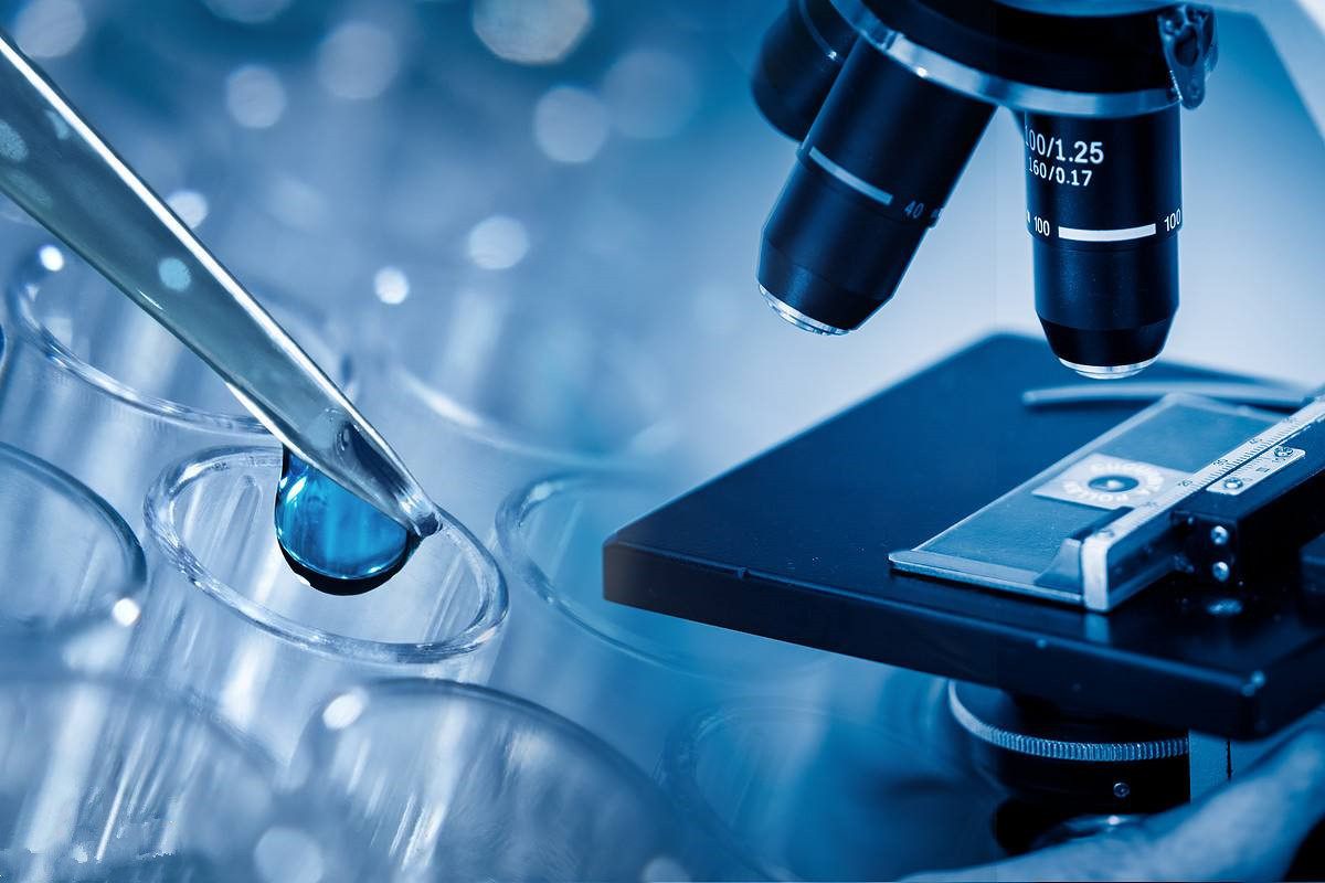 试管婴儿降调的含义