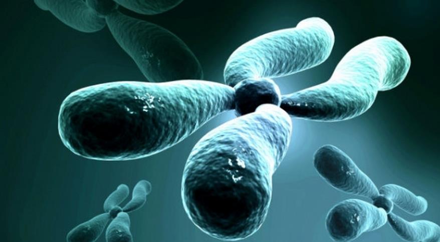 试管婴儿费用评估