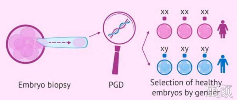 试管婴儿费用预估